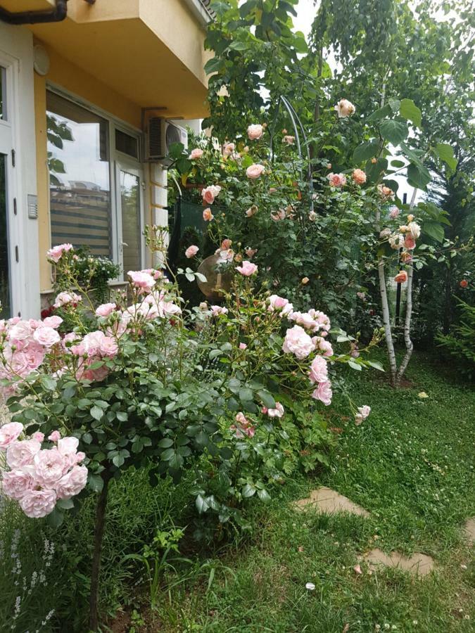 Guesthouse Zanier Nesebar Bagian luar foto