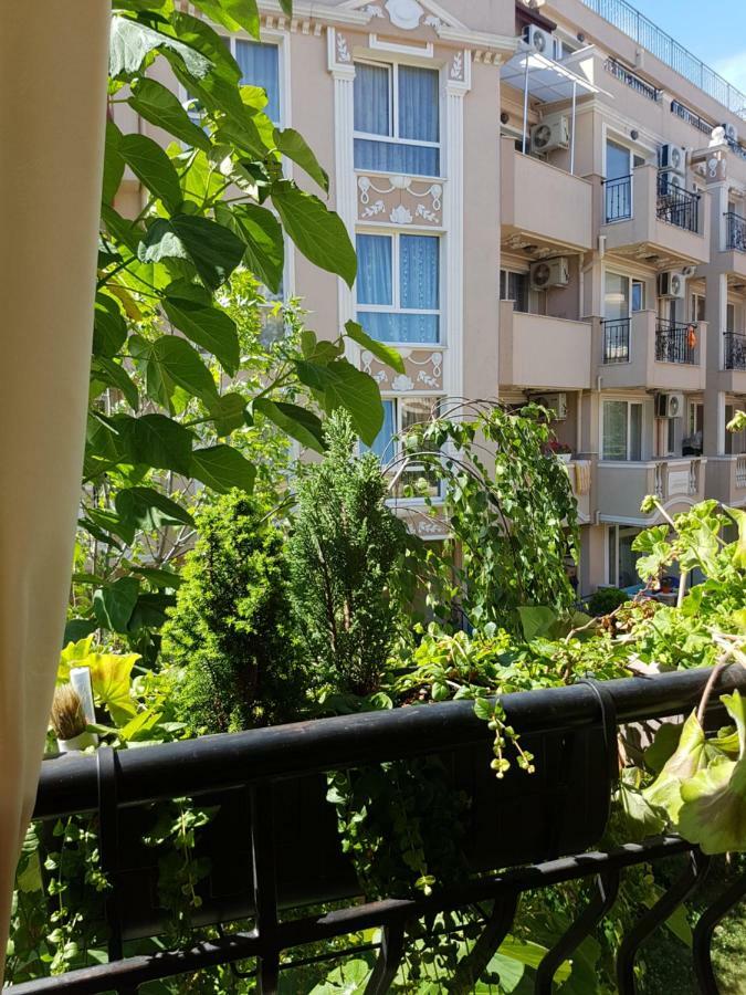 Guesthouse Zanier Nesebar Bagian luar foto